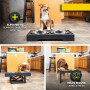 Raised Dog Dish with Stainless Steel Adjustable Elevated Dog Bowls For Pets