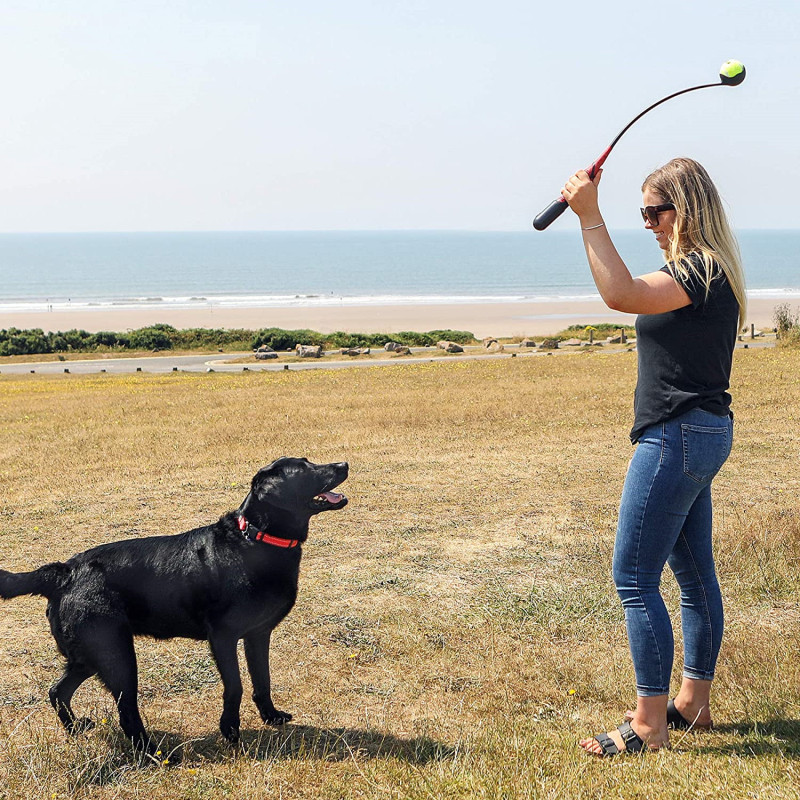 wholesale throw clubs Dog Ball Launcher With Poop Waste Bag For Outdoor Pet