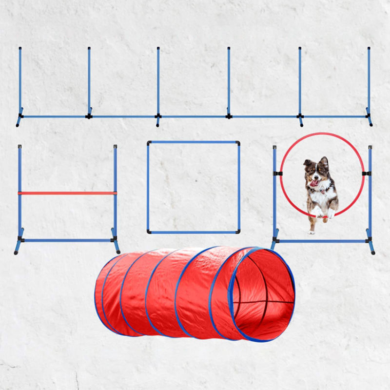 Dog Agility Training Equipment Dog Obstacle Course for Backyard with Dog Agility Tunnel 5PCS
