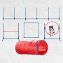 Dog Agility Training Equipment Dog Obstacle Course for Backyard with Dog Agility Tunnel 5PCS