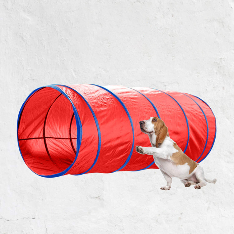Dog Agility Training Equipment Dog Obstacle Course for Backyard with Dog Agility Tunnel 5PCS
