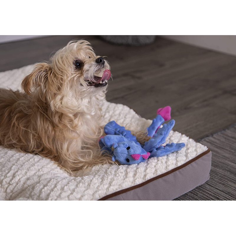 Dragons Squeaker Plush Pet Toy for Dogs & Puppies, Soft & Durable, Tough & Chew Resistant, Reinforced Seams - Periwinkle, Small