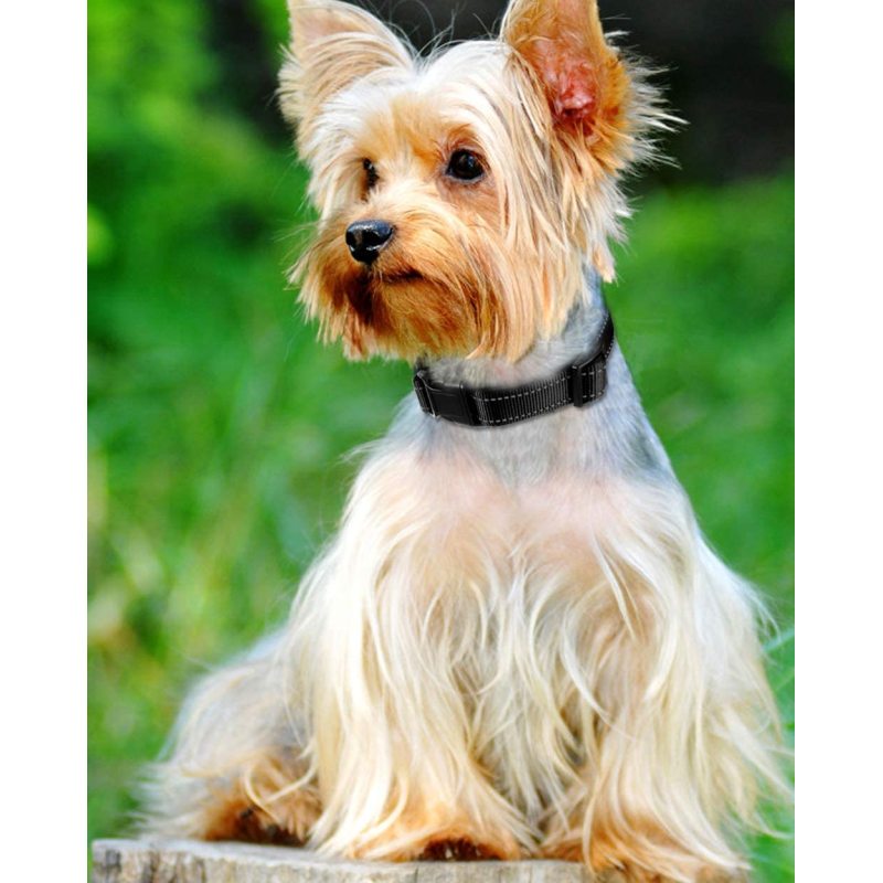 Breathable Nylon Pet Collar Adjustable Dog Collar