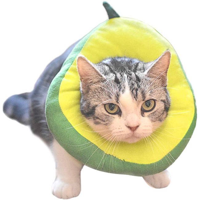 Adjustable Cat Recovery Cat Cone Collar Cute Avocado for Cats After Surgery