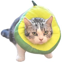Adjustable Cat Recovery Cat Cone Collar Cute Avocado for Cats After Surgery Adjustable Cat Recovery Cat Cone Collar Cute Avocado for Cats After Surgery