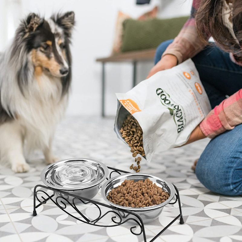 Stainless Steel Raised Pet Water Feeder Dish Elevated Stand