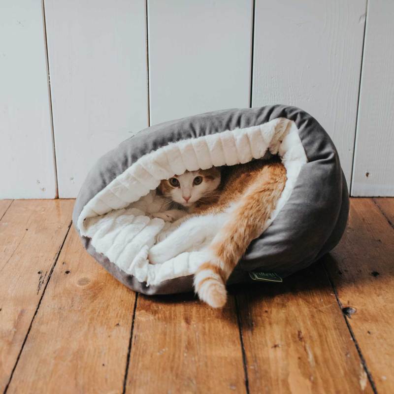 Small Dog Bed for Small Dogs Round Pet Bed for Puppy and Kitten