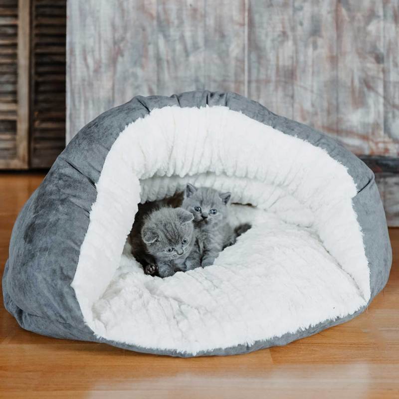 Small Dog Bed for Small Dogs Round Pet Bed for Puppy and Kitten