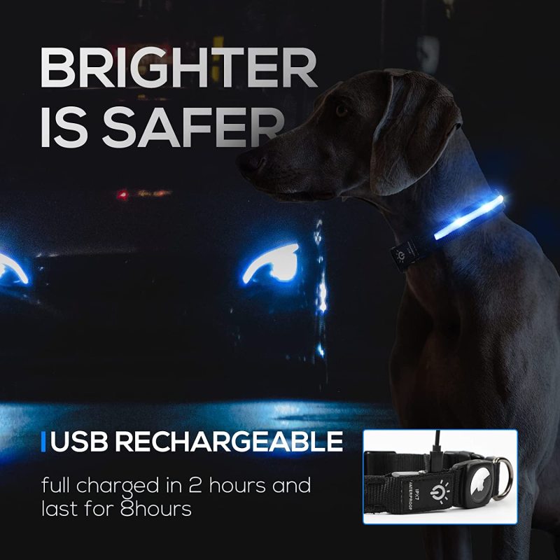 Adjustable Pet  Dog Training Collar With Rechargeable Water Resistant for Large Dogs