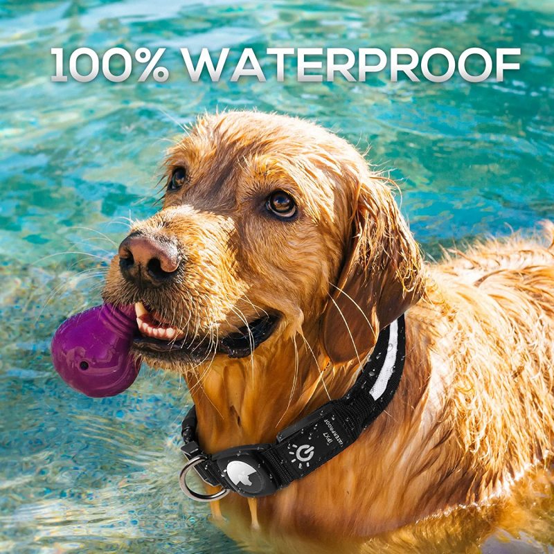 Adjustable Pet  Dog Training Collar With Rechargeable Water Resistant for Large Dogs