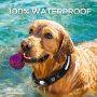 Adjustable Pet  Dog Training Collar With Rechargeable Water Resistant for Large Dogs