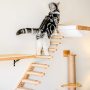 Cat Hammock Wall Mounted Large Cats Shelf - Modern Beds and Perches - Premium Kitty Furniture for Sleeping, Playing, Climbing, a