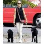 Cotton Rope Dog Leash Training Heavy Duty Dog Lead- 5 feet- Durable and Comfortable