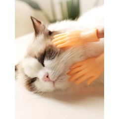 6pcs Hand Shaped Cat Massage Toy Creative Mini-Plant to Cat