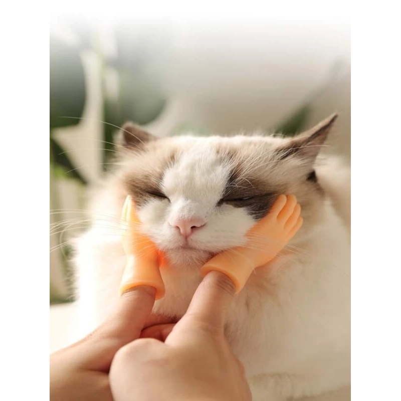 6pcs Hand Shaped Cat Massage Toy Creative Mini-Plant to Cat