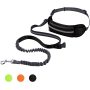 Removable Bungee Extension Fanny Pack Leash Reflective Thread for Running Walking