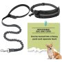 Removable Bungee Extension Fanny Pack Leash Reflective Thread for Running Walking