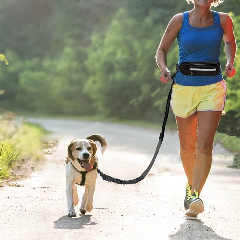 Removable Bungee Extension Fanny Pack Leash Reflective Thread for Running Walking