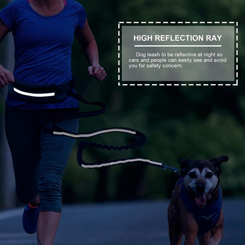 Removable Bungee Extension Fanny Pack Leash Reflective Thread for Running Walking