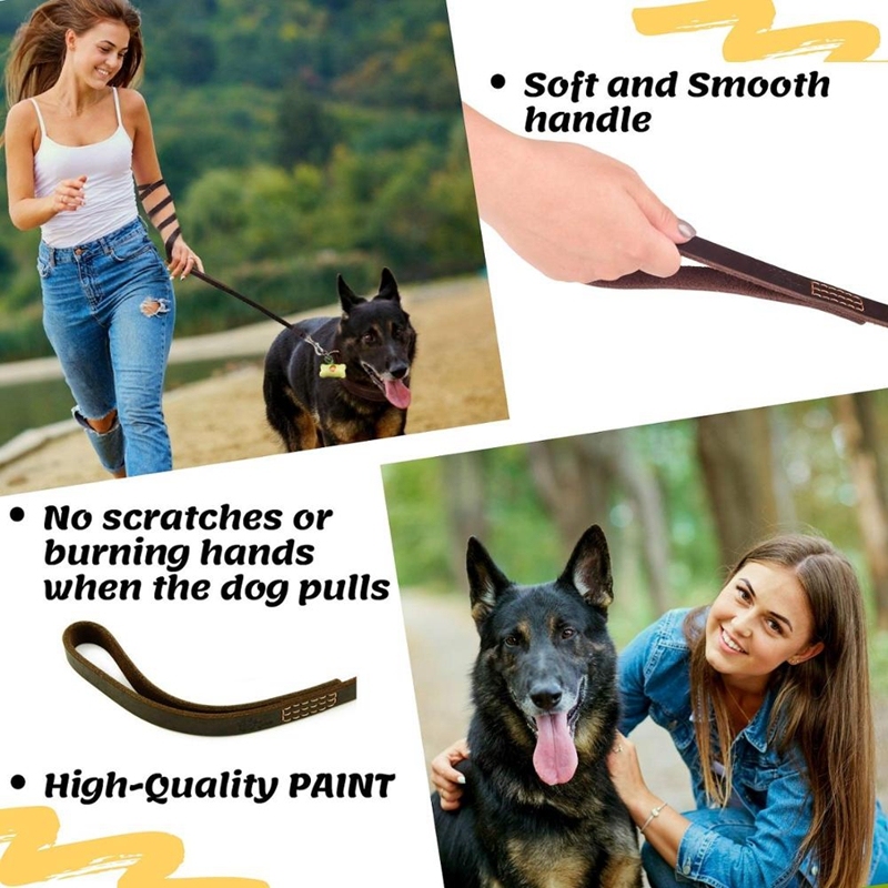 Leather Dog Leash 6 Foot - Strong and Soft Leather Leash for Small or Medium Dogs - Heavy Duty Training Leash