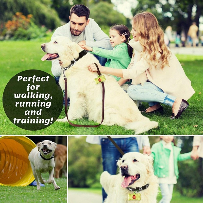 Leather Dog Leash 6 Foot - Strong and Soft Leather Leash for Small or Medium Dogs - Heavy Duty Training Leash