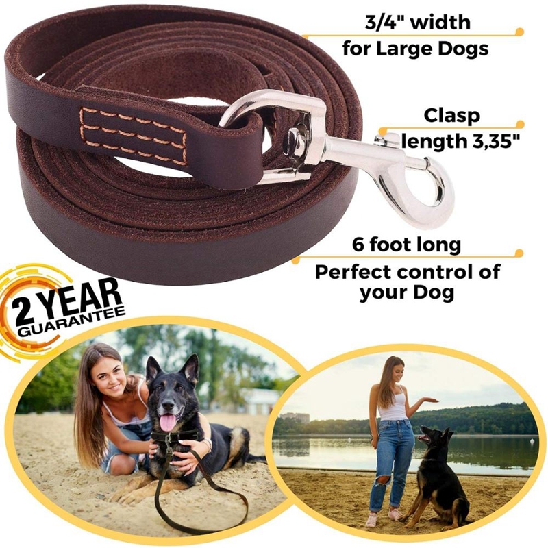 Leather Dog Leash 6 Foot - Strong and Soft Leather Leash for Small or Medium Dogs - Heavy Duty Training Leash