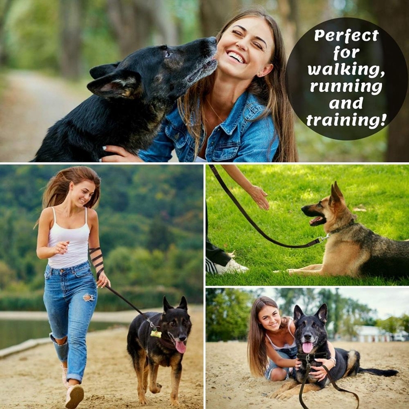 Leather Dog Leash 6 Foot - Strong and Soft Leather Leash for Small or Medium Dogs - Heavy Duty Training Leash