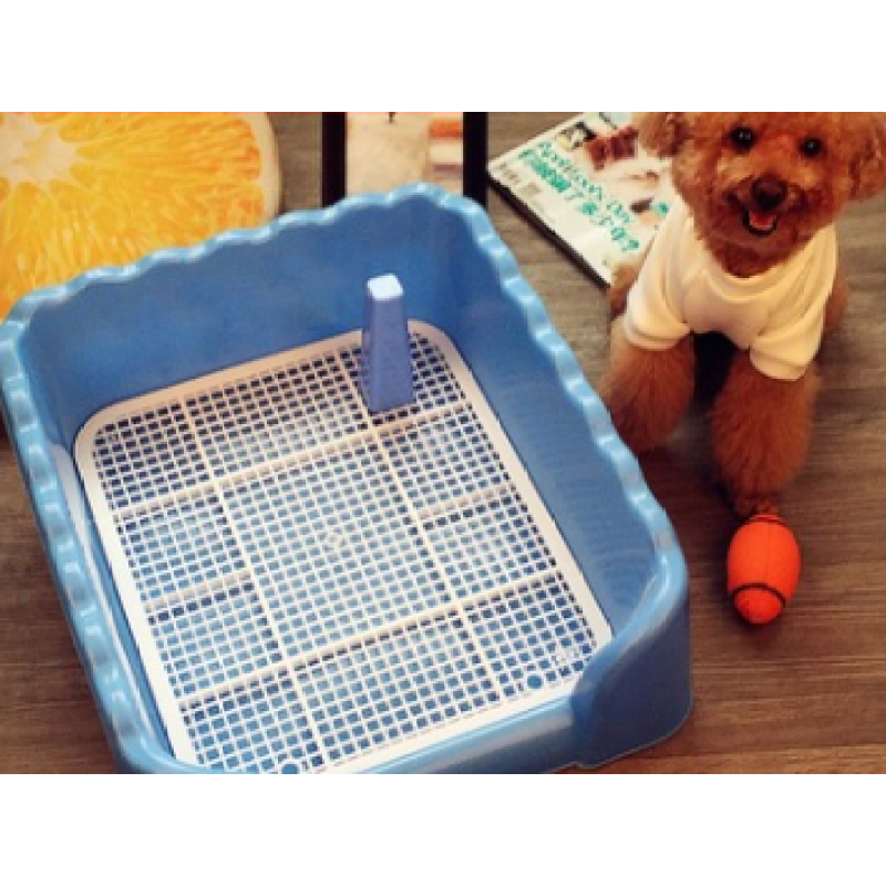 Indoor Dog Potty Tray with Protection Wall Every Side for No Leak, Spill, Accident