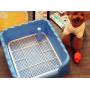 Indoor Dog Potty Tray with Protection Wall Every Side for No Leak, Spill, Accident