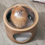 Spaceship Gamma Pet Bed Cat House Space Capsule with Scratching Post Removable Cushion