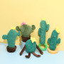 Stuffed Dog Toys for Small Medium Large Dogs Dog Chew Toy Cactus
