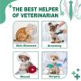 Surgery Cone Protective Pet Recovery Collar Plastic Dog Cats Neck Cone of Shame E