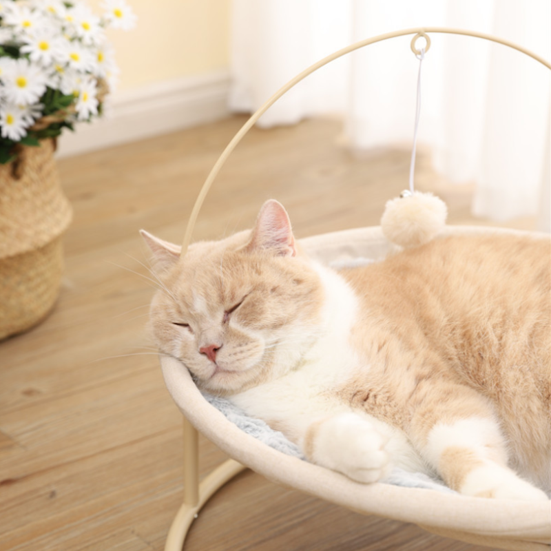 Elevated Cat Beds for Indoor Cats - Breathable Washable Cat Hammock Pet Supplies,Free-Standing Stable Detachable Pet Bed