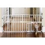 Expandable Gate to Stairways and Opening Pressure Mount Design That is Quick to Set Up