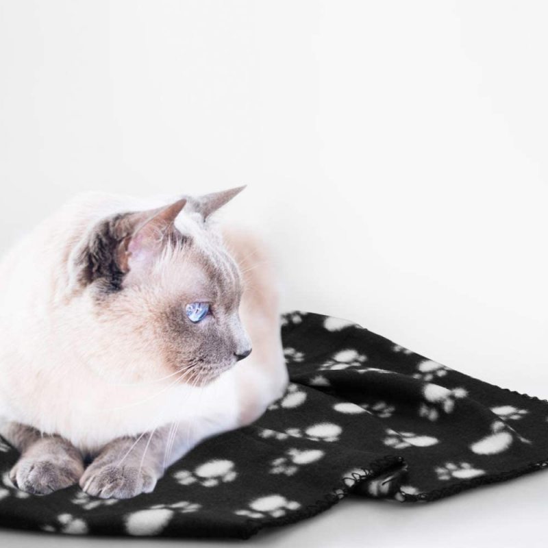 Bed Cover for Dogs Pet Blanket Warm Paw Print Use In Living Room