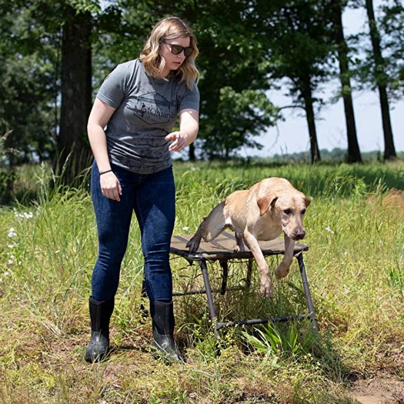Final Stand Adjustable Dog Training Platform Elevated Pet Training System for Place  Agility Steadiness Training