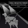 Adjustable Length and Tangle Free Dual Dog Leash for Small Dog