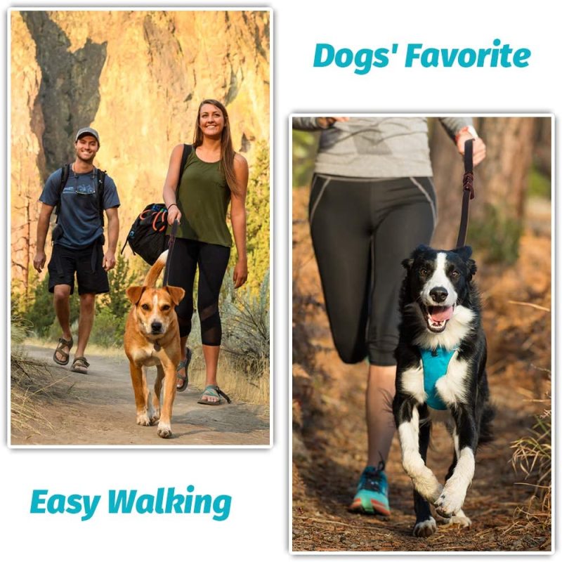 Heavy Duty Leather Dog Leash Best Military Grade for Dogs Training