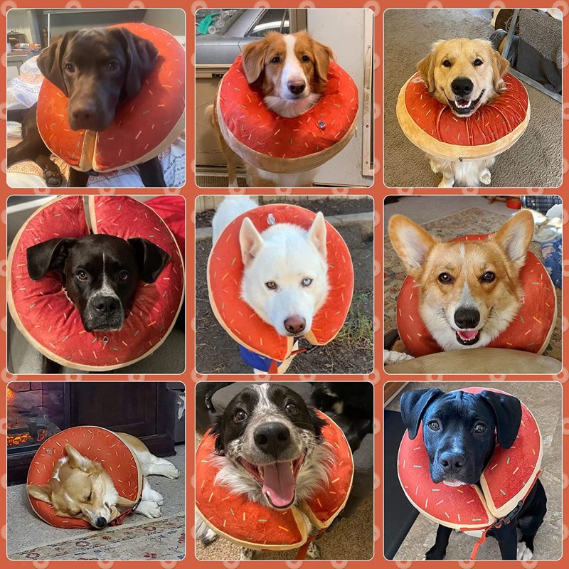 Comfortable Protective Dog Inflatable Recovery Collar Surgery Collar for Dogs