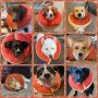 Comfortable Protective Dog Inflatable Recovery Collar Surgery Collar for Dogs