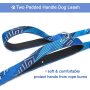 Girl Pet Printed Floral Pattern Leashes for Walking Training