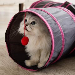 3 Way Collapsible Play Tent Interactive Toy Low Price Tunnel Cat with Balls for Cat Puppy