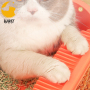 Cat Litter Box with Lid,Top Entry Kitty Sifting Litter Box Kitten Toilet for Cats,Enclosure Cat Litter Pan with Mat No Smell