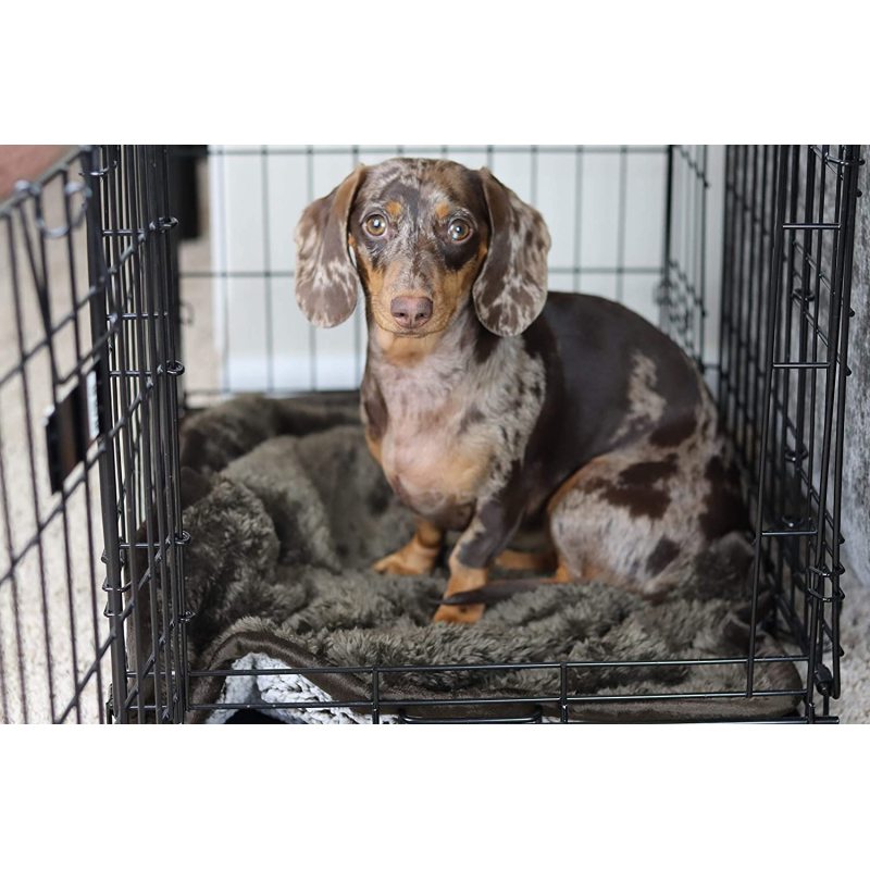 Superb Puppy Dog Blanket Premium Waterproof Cat & Dog Blanket with Wick Quick