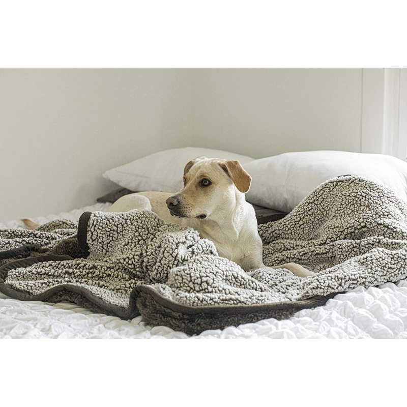 Superb Puppy Dog Blanket Premium Waterproof Cat & Dog Blanket with Wick Quick