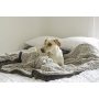 Superb Puppy Dog Blanket Premium Waterproof Cat & Dog Blanket with Wick Quick
