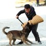 Dog Bite Sleeve For Puppy Young Dogs Training Equipment Fit Pitbull German Shepherd Puppy Biting Playing Dog Training Sleeve