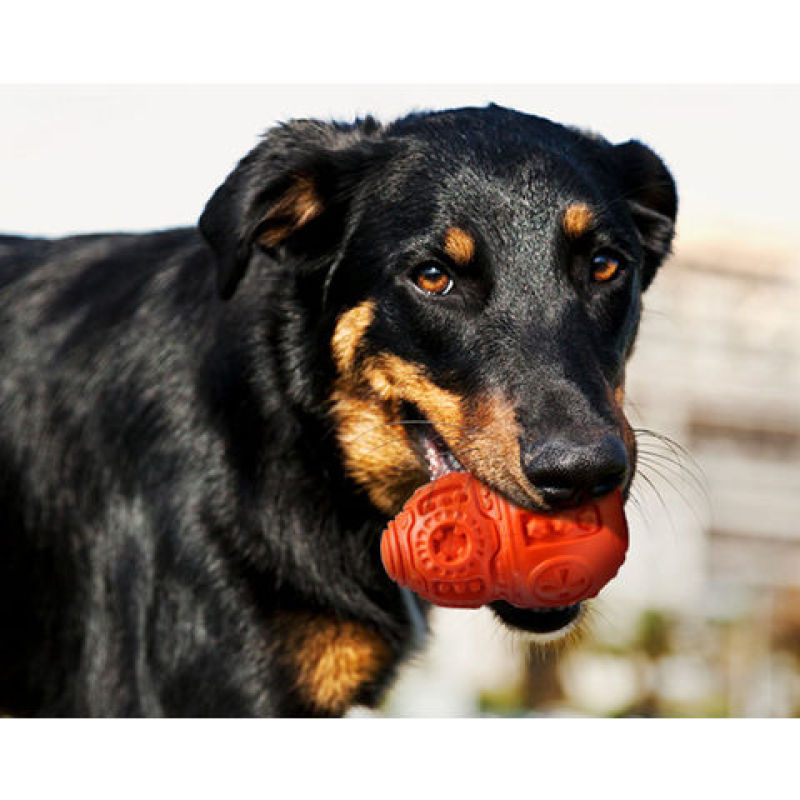 Interactive Treat Dispenser  Dog Chewing Toy for Aggressive Red Ball Toy