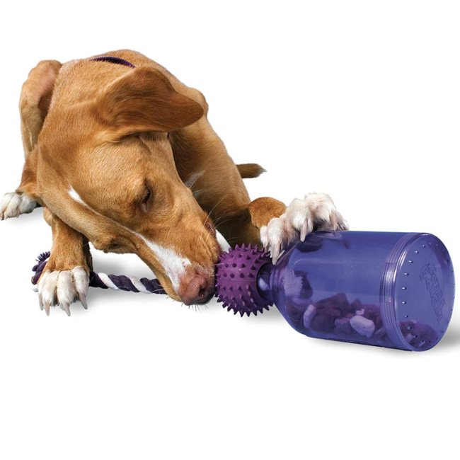 Busy Buddy Tug-A-Jug Meal-Dispensing Dog Toy