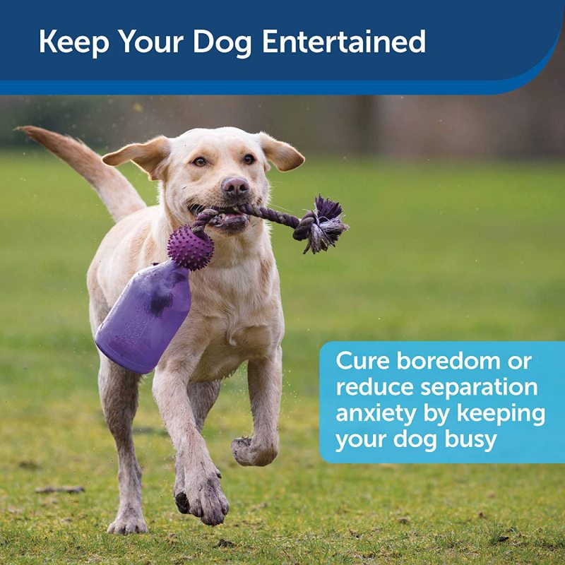 Busy Buddy Tug-A-Jug Meal-Dispensing Dog Toy